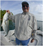 stripers at SML dam