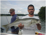 Striper Jigged up on a fluke