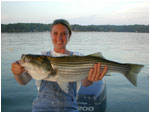 Jac Striper