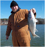February Striper on hopkins spoon