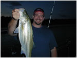evening striper on planer board