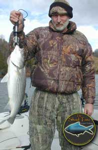8lb striper