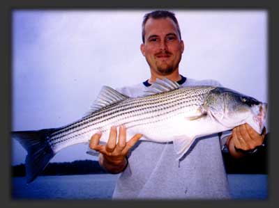 Kevin Striper at Smith Mountain Lake