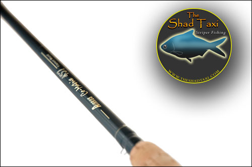 Smith Mountain Lake Striper Fishing Guide and Charter