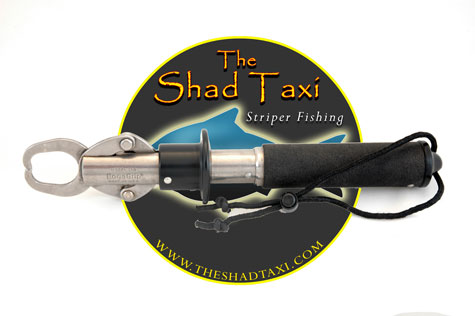 Boga Grips for fishing